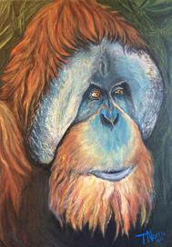 Oregon Zoo Orangutan painting T Norris Art