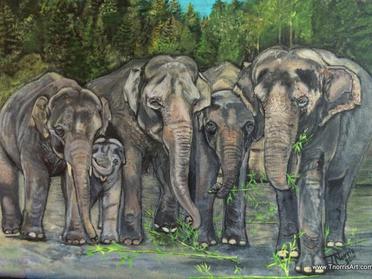 Oregon Zoo female elephants painting by T Norris Art