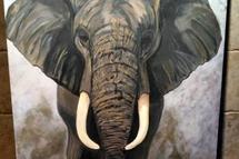 Charging Bull Elephant painting by T Norris Art