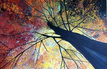 Magical Fall trees painting by T Norris Art