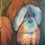 In loving memory of KUTAI  the orangutan from Oregon Zoo. 