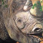 Oregon Zoo Rhino Zuri painting in acrylic. Endangered species protected at Oregon Zoo