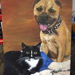 Pet portrait Cat & Dog together. Family portrait